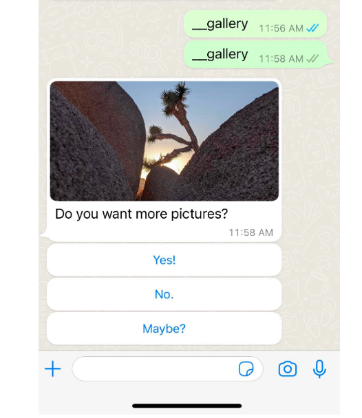 14.png